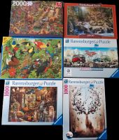 Puzzles 1000/2000 Teile (VW, JOJOE, Castorland, James Hamilton Thüringen - Geratal Vorschau