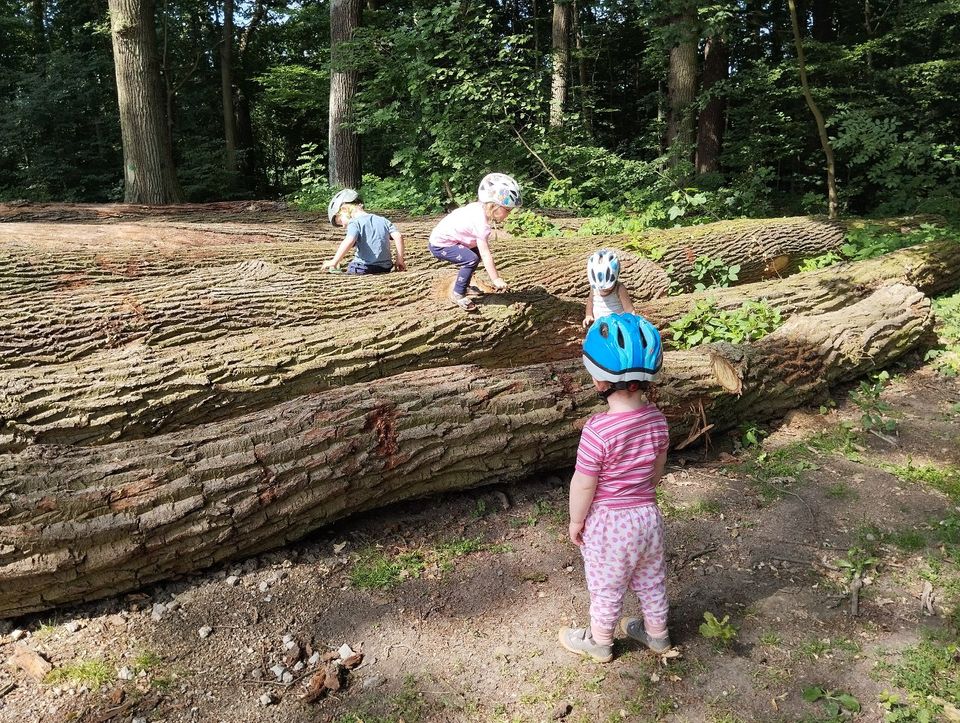 Tagesmutter, Kindertagespflege, Kostenübernahme durch Landkreis in Wittingen