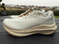 Asics Gel Kayano 30 Neu Gr. 42 + 42,5 Laufschuh Herren Rheinland-Pfalz - Wittgert Vorschau