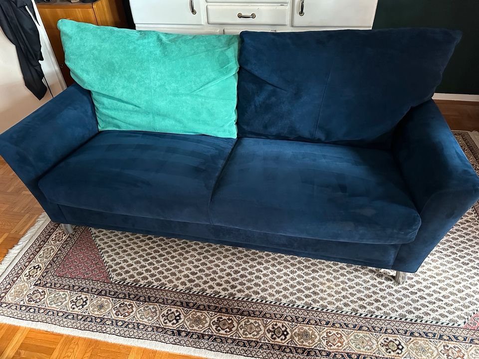 Leolux Wildleder Sofa 2 Sitzer in Neumarkt i.d.OPf.