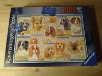 Ravensburger Puzzle 1.000 Teile UK Anne Searle Dutiful Dogs Hamburg-Mitte - Hamburg Billstedt   Vorschau