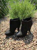 H&M Stiefeletten Gr 38 Stiefel Boots schwarz wie neu Hessen - Eppertshausen Vorschau