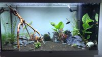 Aquarium Juwel Rio 125l inkl. Unterschrank, … Niedersachsen - Suhlendorf Vorschau