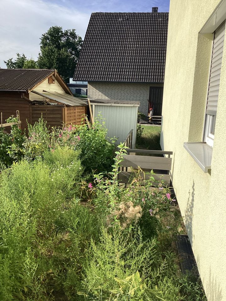 Gartengestaltung von Haus und Garten Rinteln in Rinteln