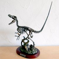 Velociraptor / Veloceraptor / Skelett / Skeleton / Fossil / NEU Hessen - Bad Orb Vorschau