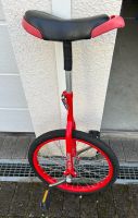 20 Zoll-Einrad Marke Terra bike Stuttgart - Sillenbuch Vorschau