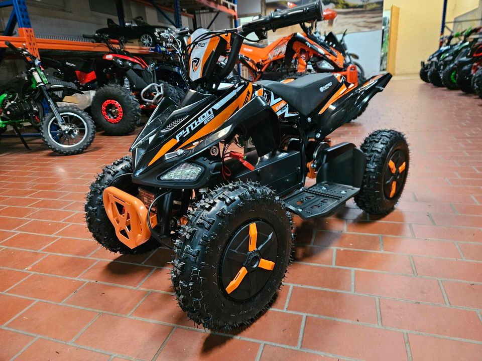 Elektro quad 1000w Kinderquad neu Python  pocketquad  mini eco in Bad Breisig 