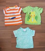 Baby T-Shirt Gr. 68 74 Jakoo Tom Tailor Sachsen-Anhalt - Muldestausee Vorschau