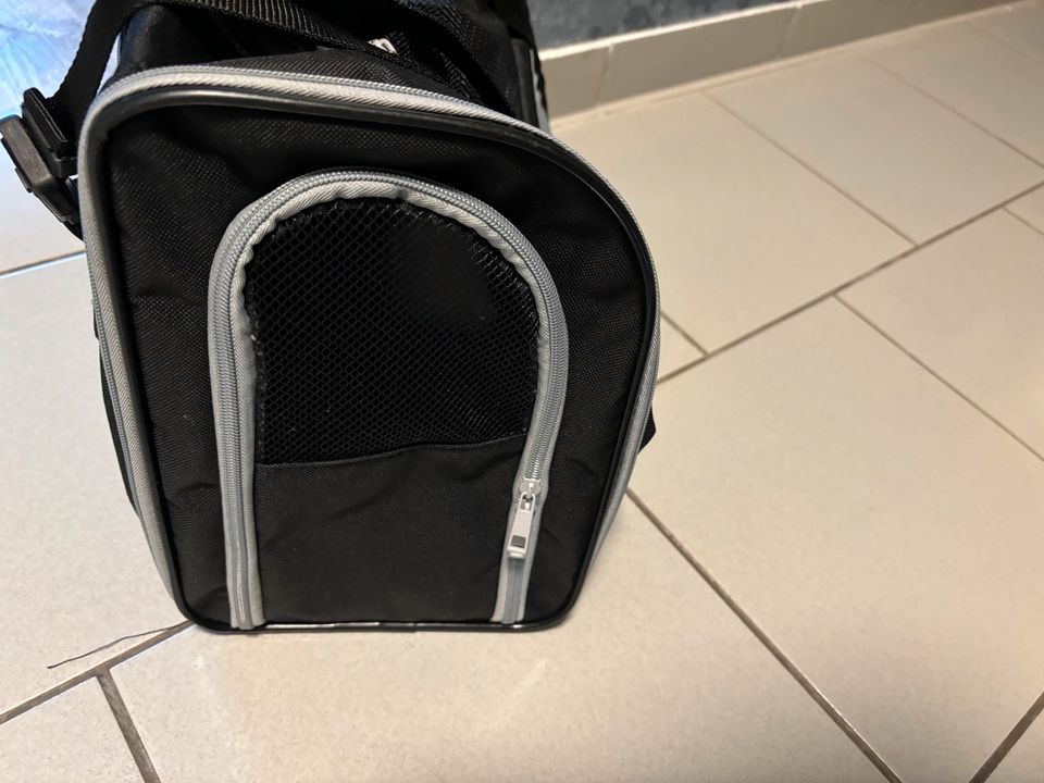 - ist Speyer Rheinland-Pfalz Jollypaw Kurzleine | integrierte eBay Rucksack, Kleinanzeigen Kleinanzeigen in jetzt