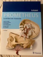 Schädelbox Prometheus Bayern - Erlangen Vorschau