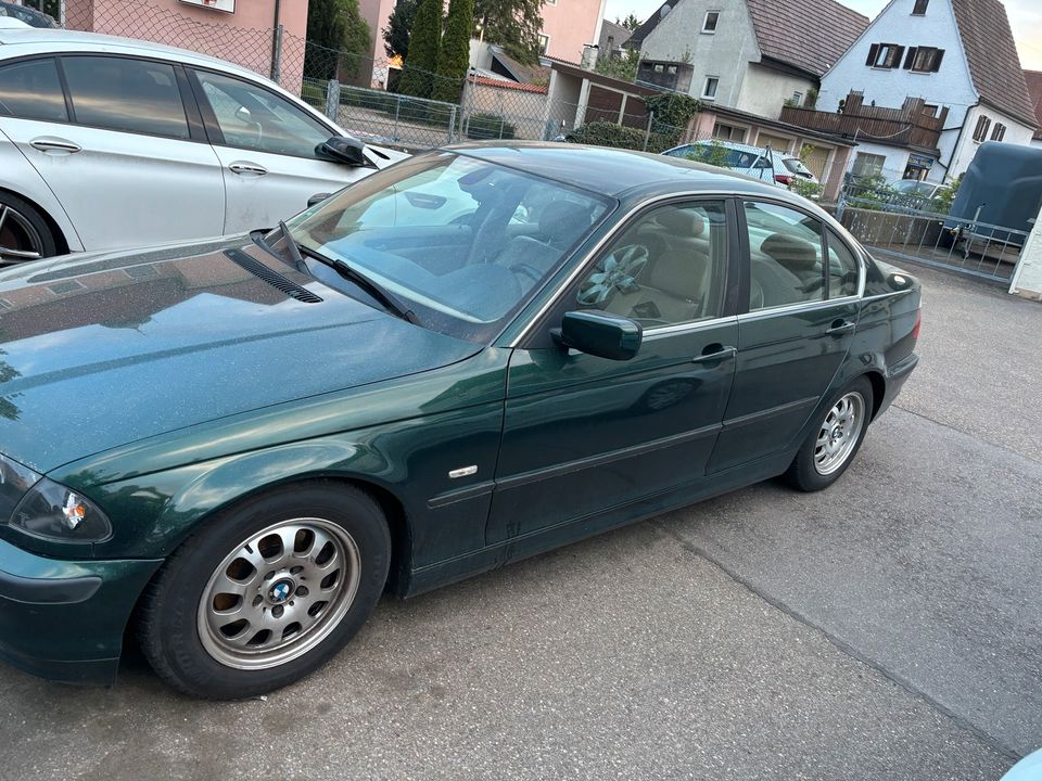 BMW e46 320i in Bostongrün in Lauingen a.d. Donau