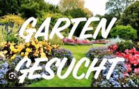 Garten zu Pacht Sachsen - Bernsdorf Vorschau