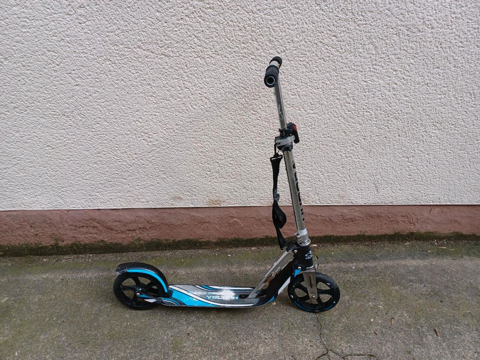 Hudora BigWheel Roller RX Pro in Frankfurt am Main