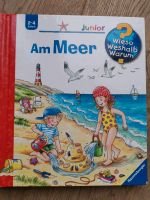 Wieso Weshalb Warum junior, 3 Bücher Niedersachsen - Achim Vorschau