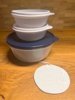 Tupperware Frische Trio (3) neu und OVP‼️ Hessen - Maintal Vorschau