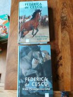 Zwei Pferdebücher von Federica de Cesco für junge Leser Kreis Pinneberg - Rellingen Vorschau