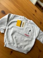 *neu* zara Pullover 98 zara Pulli 98 zara snoopy 98 Wandsbek - Hamburg Bramfeld Vorschau