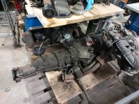 VW Passat 32B Syncro 5zylinder Motor Getriebe JT Niedersachsen - Hitzacker Vorschau