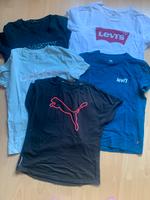 Damen T-Shirts Gr. M Puma Levi’s Mexx Adidas Hessen - Darmstadt Vorschau