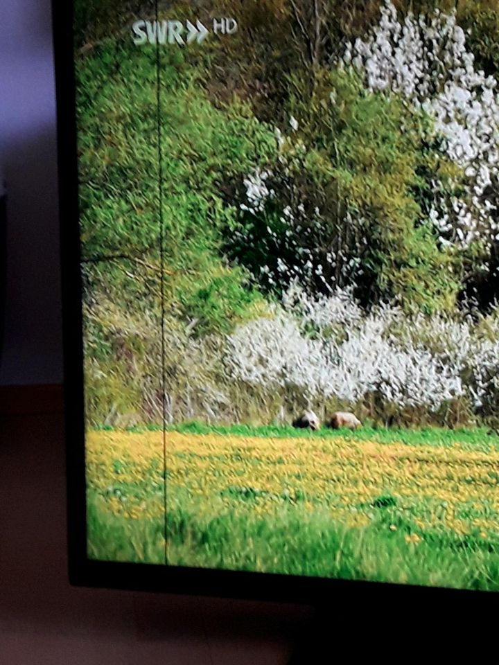 TV Panasonic TX-39DW334 in Brauneberg