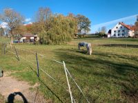 Pferdebox / Freie Box in Pferdepension Hessen - Korbach Vorschau