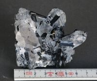 Mineraliensammlung: Turmalin Quarz von Minas Gerais Brasilien Nürnberg (Mittelfr) - Nordstadt Vorschau