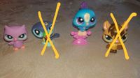 Littlest Pet Shop Nordrhein-Westfalen - Eschweiler Vorschau