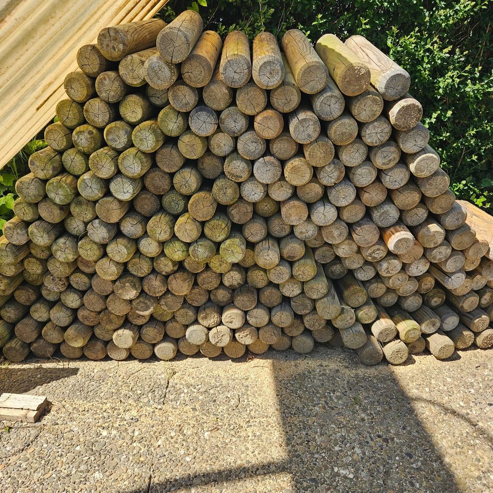 Holz Palisaden gratis in Binzen