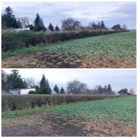 Helfe im Garten Hecke schneiden Laub Strauch Gartenbau Rasen Sachsen-Anhalt - Halle Vorschau