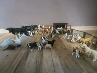 Schleich Sammlung (Bauernhof, Kleintiere, Katzen, Hunde, Zubehö) Nordrhein-Westfalen - Bottrop Vorschau