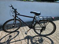 Jugend Fahrrad 26 zoll Rheinland-Pfalz - Bellheim Vorschau