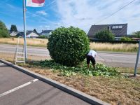 Hausmeisterdienst mit Gartenhilfe Saar ☆☆☆☆☆ Saarland - Perl Vorschau