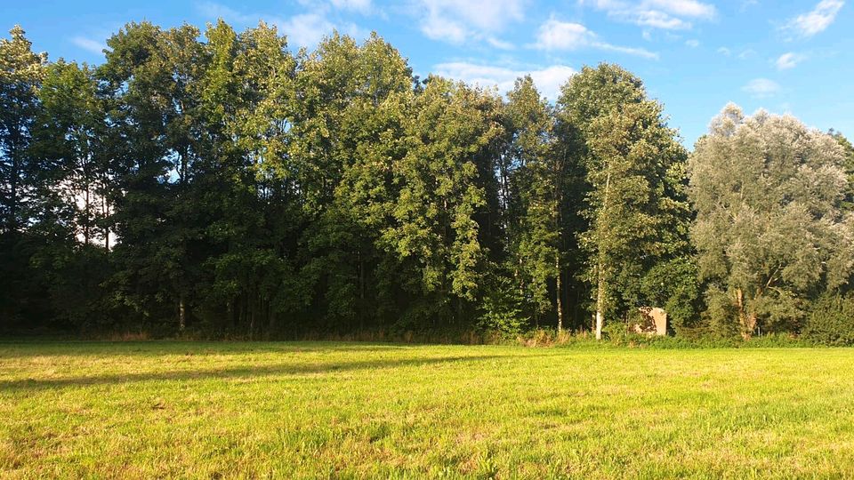 Wald Wiese Freizeitgrundstück in Herdwangen-Schönach