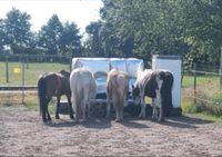 Offenstall, Offenstallplatz frei Brandenburg - Bad Freienwalde Vorschau