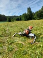 Mäharbeiten Baden-Württemberg - Schramberg Vorschau