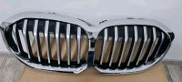 Bmw 1er kühlergrill neu f40 neu Brandenburg - Frankfurt (Oder) Vorschau