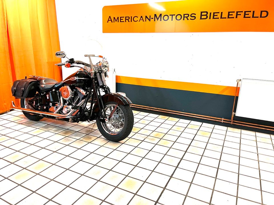 HARLEY-DAVIDSON Softail Springer Classic - LIEBHABERFAHRZEUG! 1A! in Bielefeld