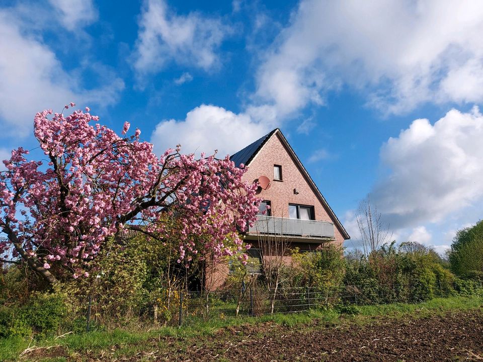 Dein ZuHause am Dümmer See mit großzügigem Garten in Hüde