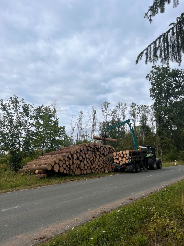 Holzeinschlag/Holzrückung/Forstdienstleistungen in Plankenfels