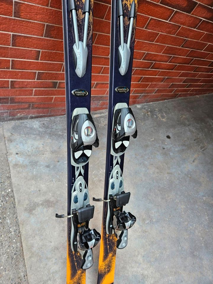 Salomon Ski Skier Schi 178 Cm in Worms