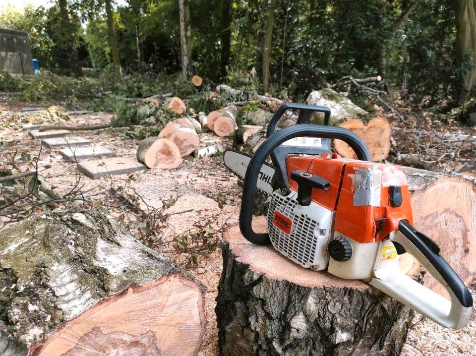 Suche - Kaminholz, Brennholz, Stammholz, Holz, Baum in Duisburg