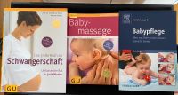 Das große Buch zur Schwangerschaft, Baby-Massage und Babypflege Rheinland-Pfalz - Ransbach-Baumbach Vorschau