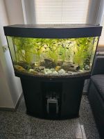 Juwel 120l Aquarium mit viel Zubehör, OHNE Fische Nordrhein-Westfalen - Mönchengladbach Vorschau