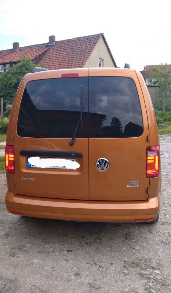VW Caddy Maxi in Königslutter am Elm