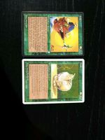 Magic Karte, MTG, Magic the Gathering, Sammelkarte, Trading Card Bayern - Würzburg Vorschau