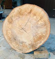 Holzscheibe / Baumscheibe ca. 80 cm Durchmesser Baden-Württemberg - Denkendorf Vorschau