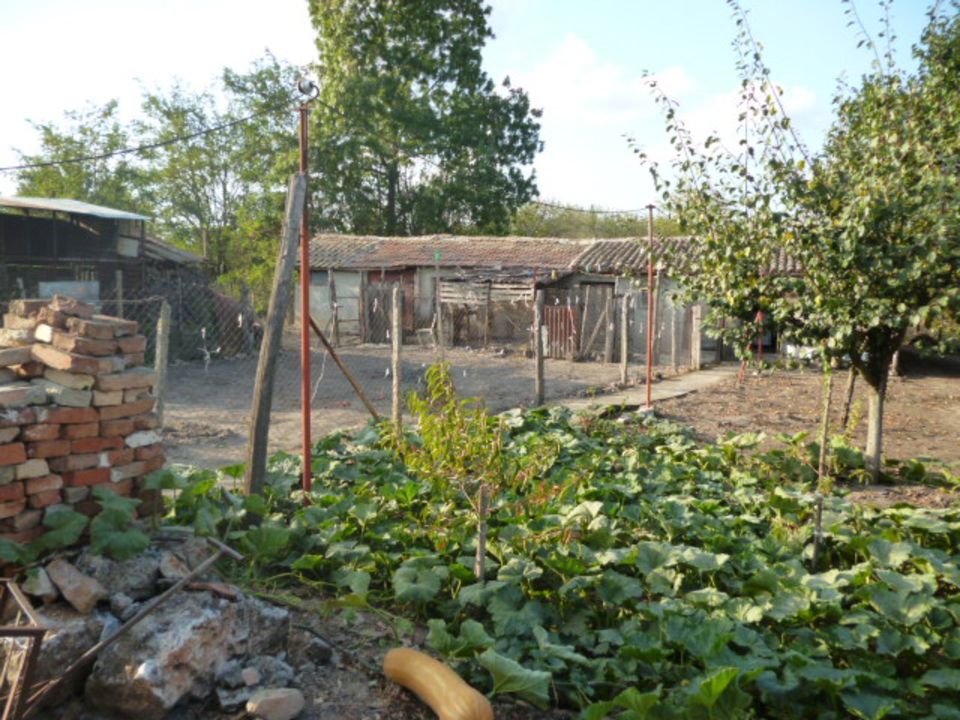 TOP Lage Haus Bulgarien zwischen BALCHIK u. DOBRICH in München