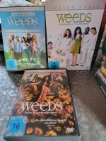 Weeds Staffel 1, 2 und 3 DVDs Schleswig-Holstein - Selk Vorschau