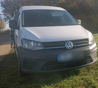 Vw caddy 2.0 Liter  Lkw Zulassung Bayern - Mitterteich Vorschau