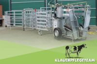 Klauenpflege bei Milchvieh, Mutterkühen und Rindern Niedersachsen - Aurich Vorschau